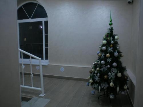 WhatsApp-Image-2024-12-23-at-19.39.55-2